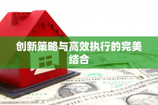 新巴尔虎左旗创新策略与高效执行的完美结合